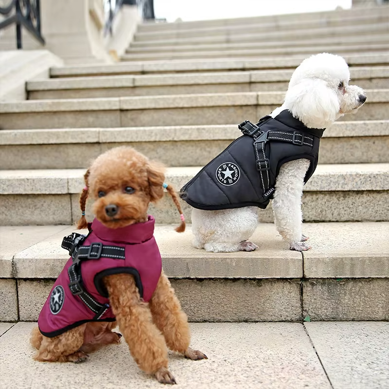 Windproof and Waterproof Dog Jacket with Integrated Harness
