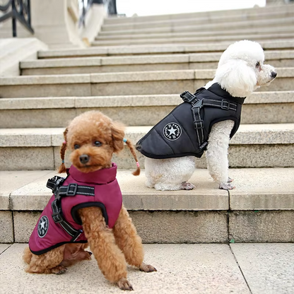 Windproof and Waterproof Dog Jacket with Integrated Harness