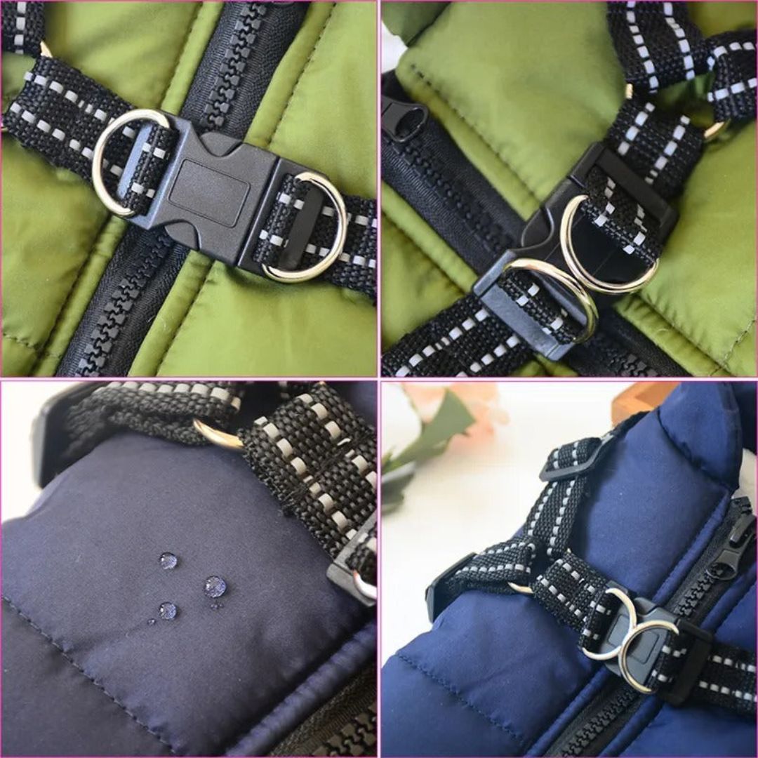Windproof and Waterproof Dog Jacket with Integrated Harness