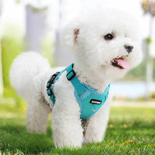 Reflective Harness With Leash For Small Dogs