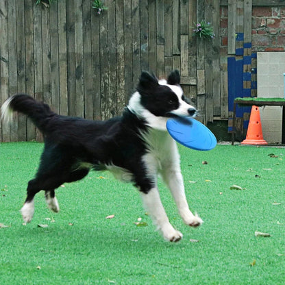 Dog Frisbee Toys - Durable Disc for Active Play