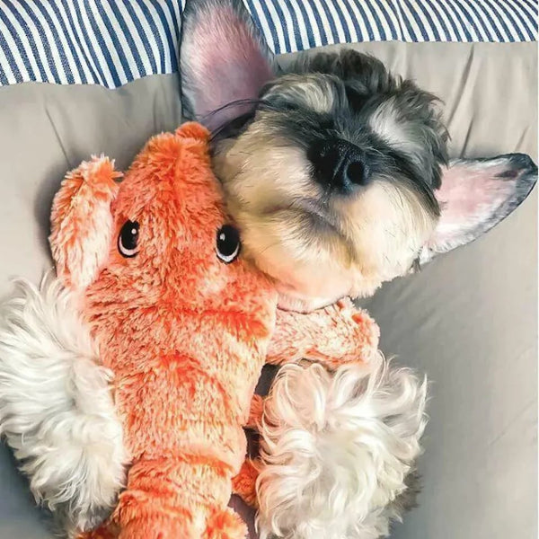 Wobbling Lobster - Interactive Toy for Dogs