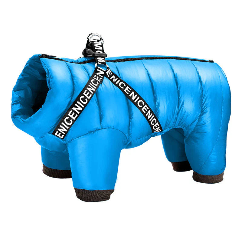 Winter Dog Coat for Cold Days