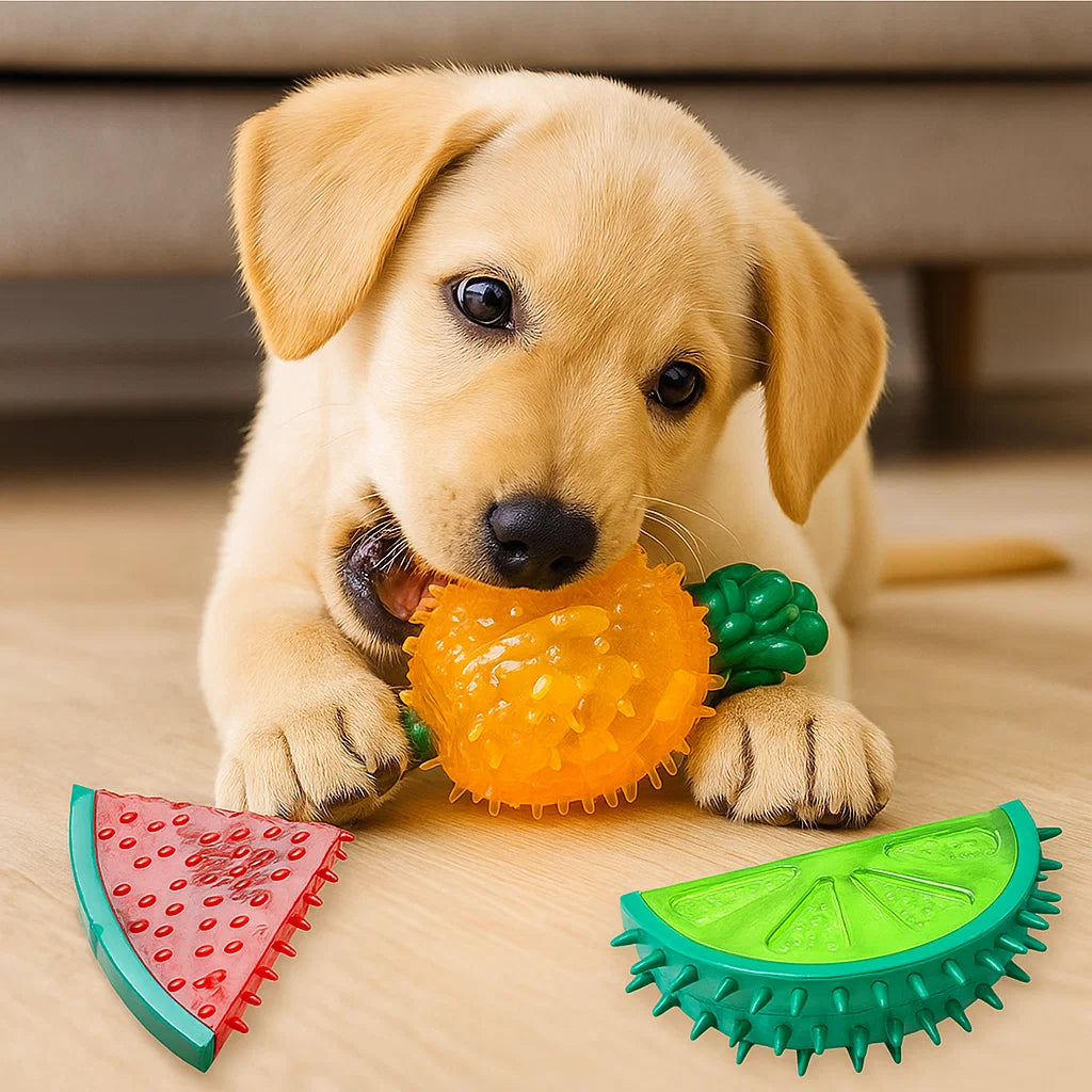 Refreshing Fruit-Shaped Chew Toy for Dogs
