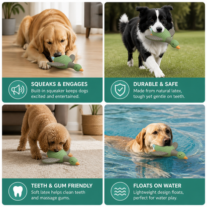 Interactive Chew & Squeak Animal Dog Toy