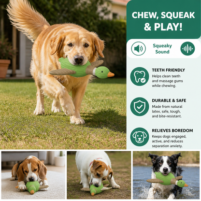 Interactive Chew & Squeak Animal Dog Toy