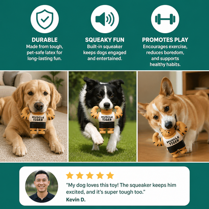 Durable Squeaky Muscle Buddy Dog Toy