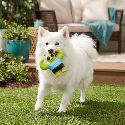Durable Squeaky Muscle Buddy Dog Toy