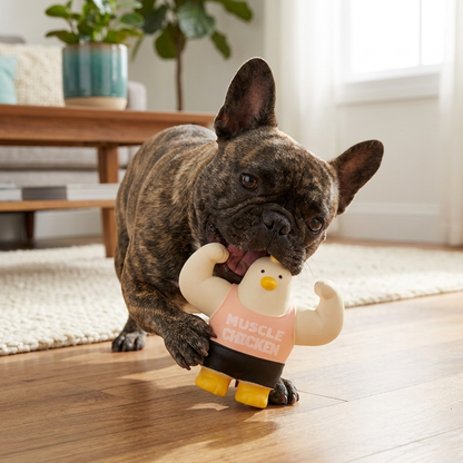 Durable Squeaky Muscle Buddy Dog Toy
