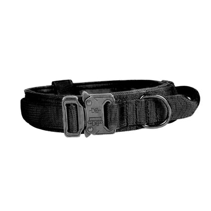 Adjustable Nylon Dog Collar with Strong Click Closure