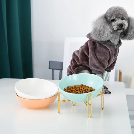 Elevated Feeder for Dogs and Cats - Elegant Design with Metal Stand