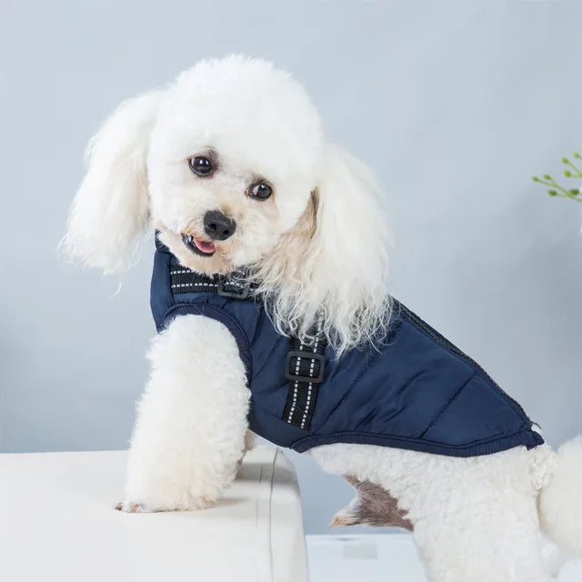 Windproof and Waterproof Dog Jacket with Integrated Harness