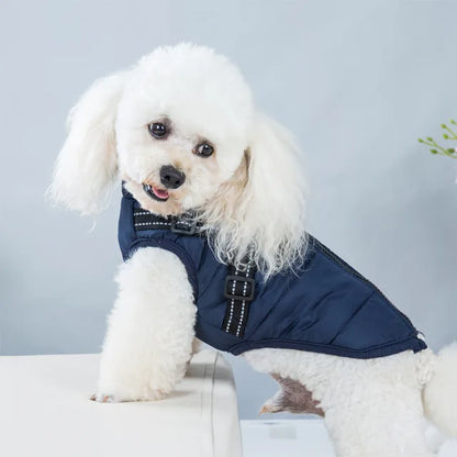 Windproof and Waterproof Dog Jacket with Integrated Harness
