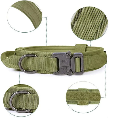 Adjustable Nylon Dog Collar with Strong Click Closure