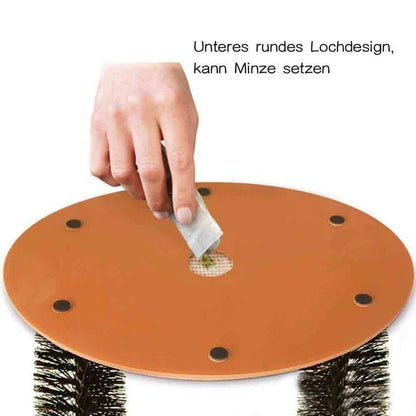 Self-Care and Massage Sheet for Cats