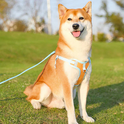 Reflective Dog Harness Set