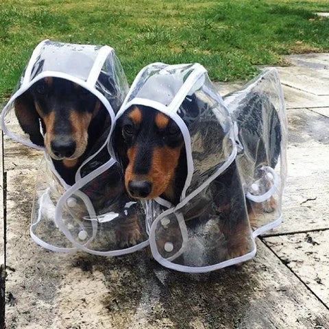 Transparent Waterproof Dog Raincoat