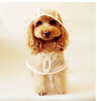 Transparent Waterproof Dog Raincoat