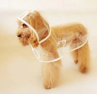 Transparent Waterproof Dog Raincoat
