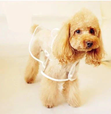 Transparent Waterproof Dog Raincoat