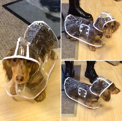 Transparent Waterproof Dog Raincoat