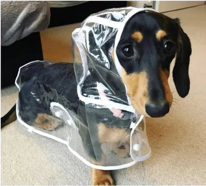 Transparent Waterproof Dog Raincoat