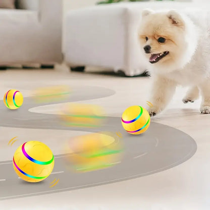 Active Rolling Ball for Pets