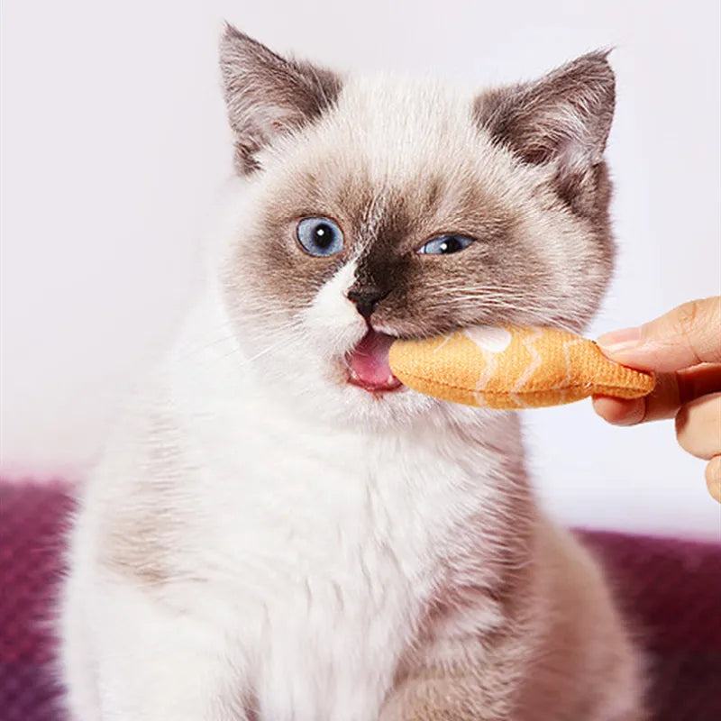 Interactive Cat Toys – Set of Colourful Fish-Shaped Chew and Play Toys