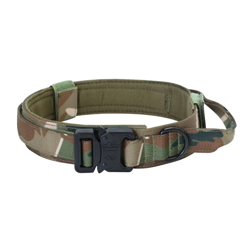 Adjustable Nylon Dog Collar with Strong Click Closure