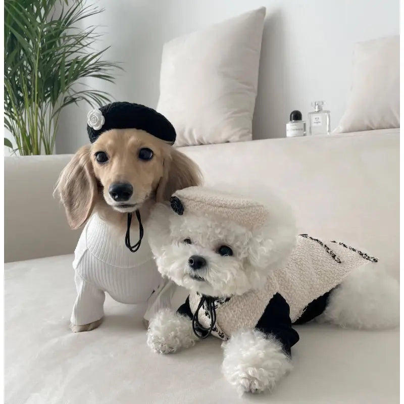 Elegant Dog Collar with a Chic Little Hat and Flower Application - Trendy Design for Your Four-Legged Companion