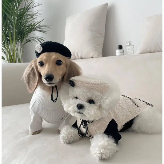Elegant Dog Collar with a Chic Little Hat and Flower Application - Trendy Design for Your Four-Legged Companion