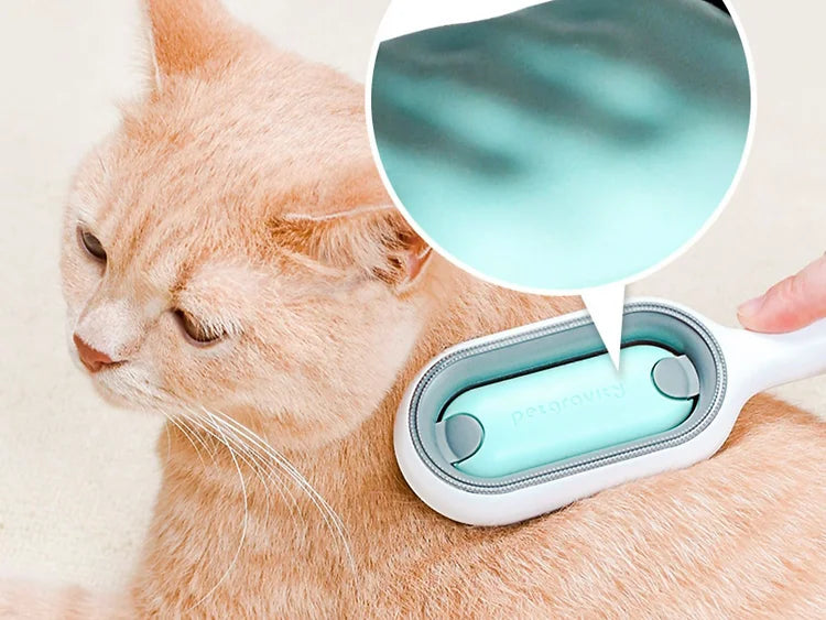 Sticky Brush for Pets
