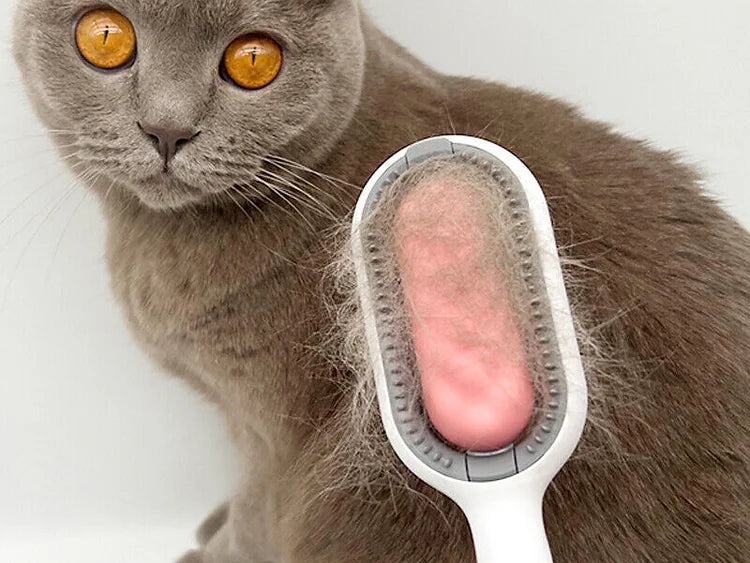 Sticky Brush for Pets