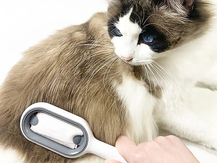 Sticky Brush for Pets