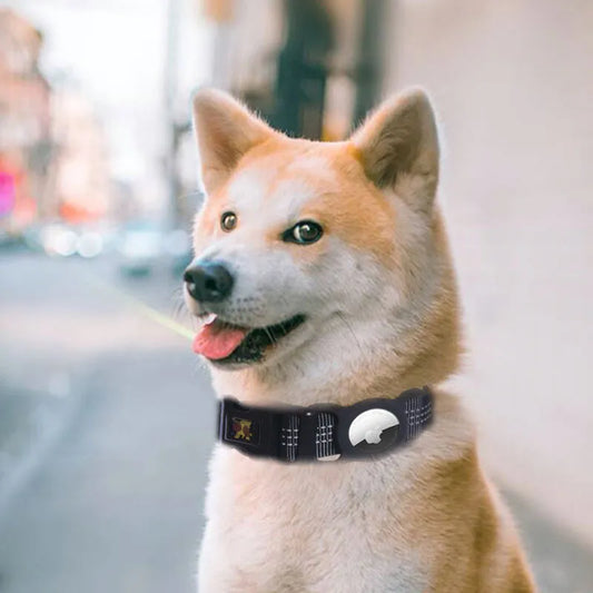 Adjustable Dog Collar with Reflective Strips – Available in Multiple Colours