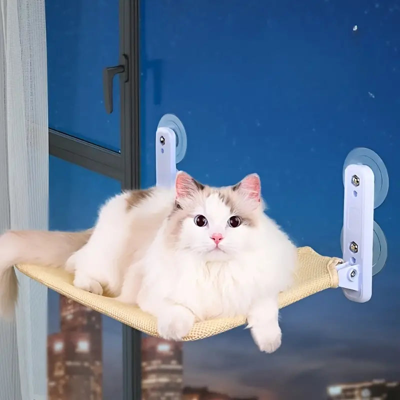 Foldable Suction Cup Hammock for Cats