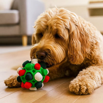 Sniffing Ball - Interactive Treat Toy
