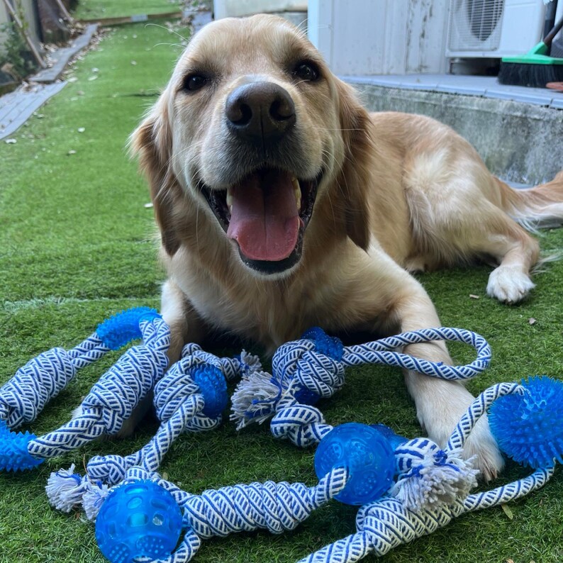 Dog Toy with Rubber Ball and Rope - Chew, Tug, and Play Toy