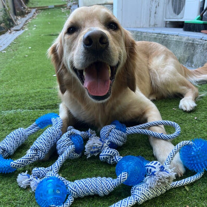Dog Toy with Rubber Ball and Rope - Chew, Tug, and Play Toy