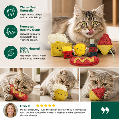 Teeth-Cleaning Catnip Chew Toys – Natural Loofah Dental Care & Play Set