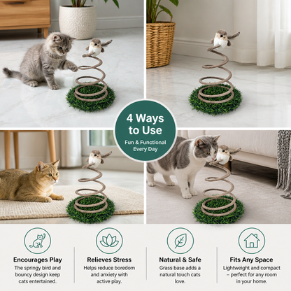 Interactive Spring Bird Cat Toy with Grass Base