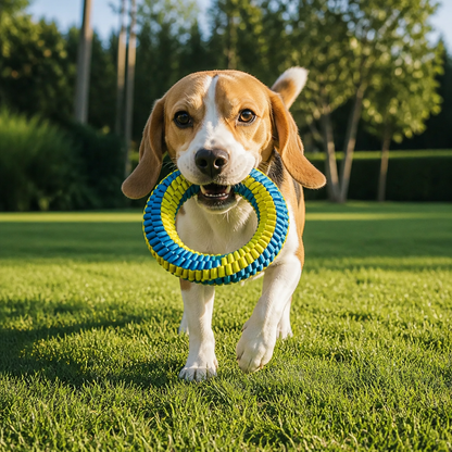 Durable Woven Ring Tug & Chew Toy for Dogs