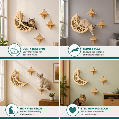 Modern Wooden Moon & Star Wall-Mounted Cat Climbing Shelves & Bed Set