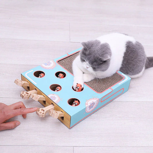 3-in-1 Cat Play Box
