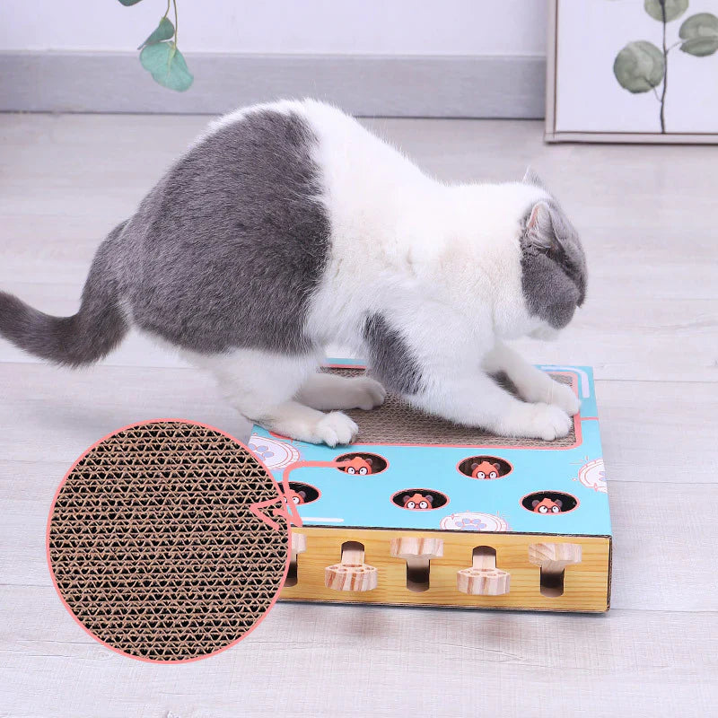 3-in-1 Cat Play Box
