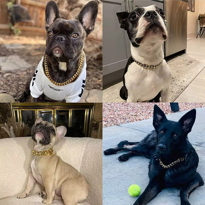 Golden Chain Dog Collar