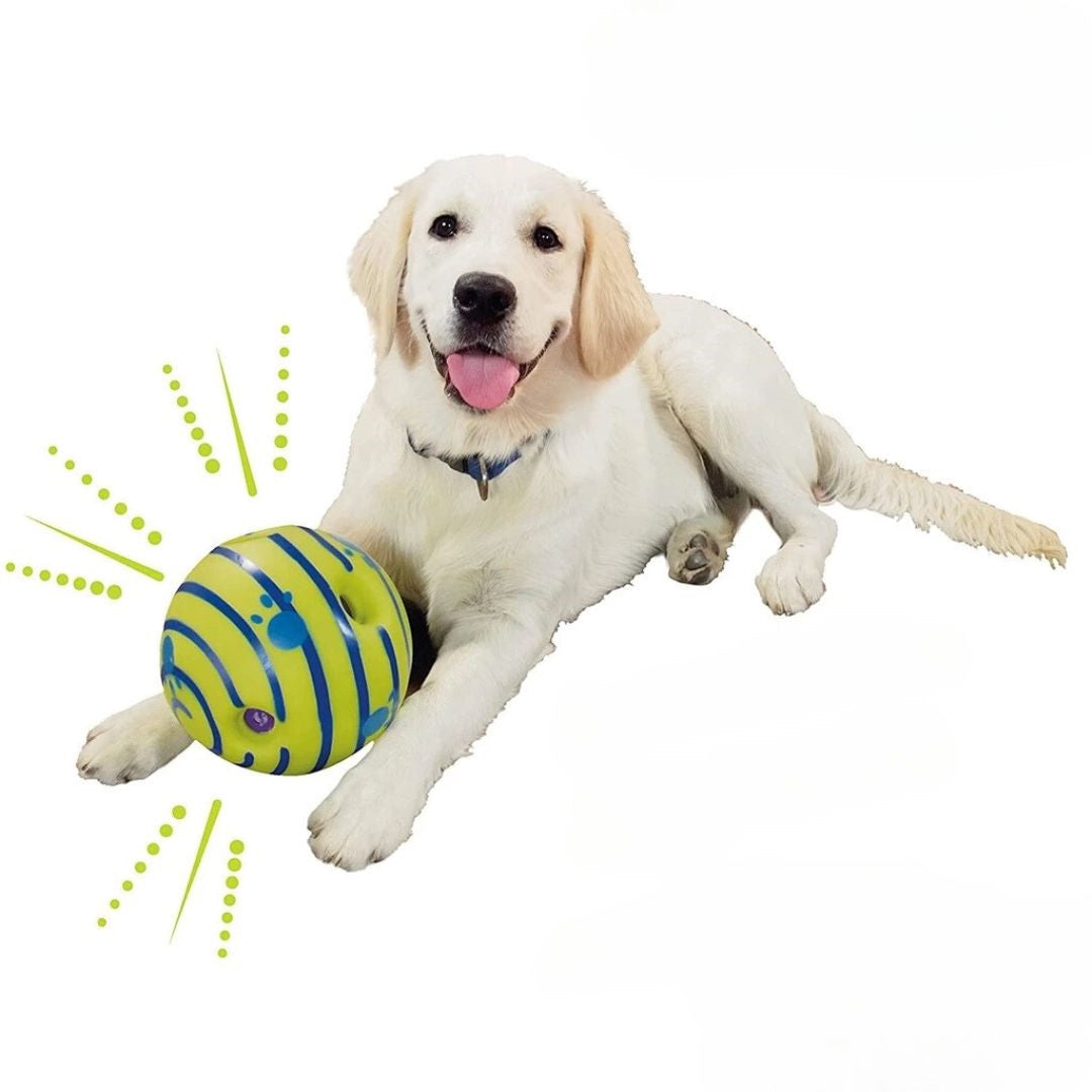 Creative Play Ball for Dogs with Interactive Functions