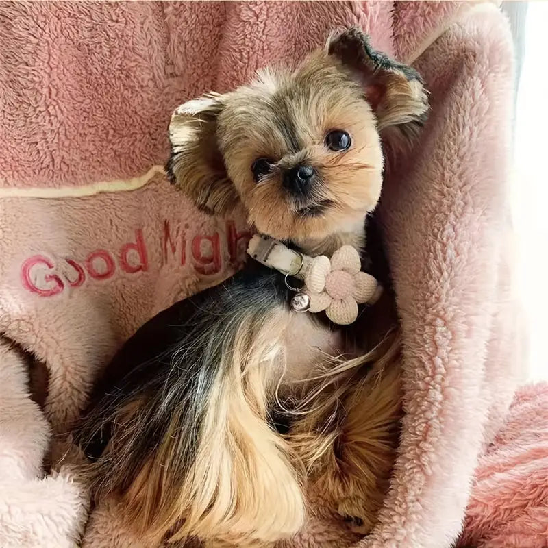 Adjustable Collar with Floral Pattern