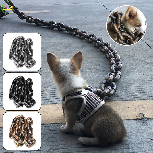 Stylish and Fun Dog Leash
