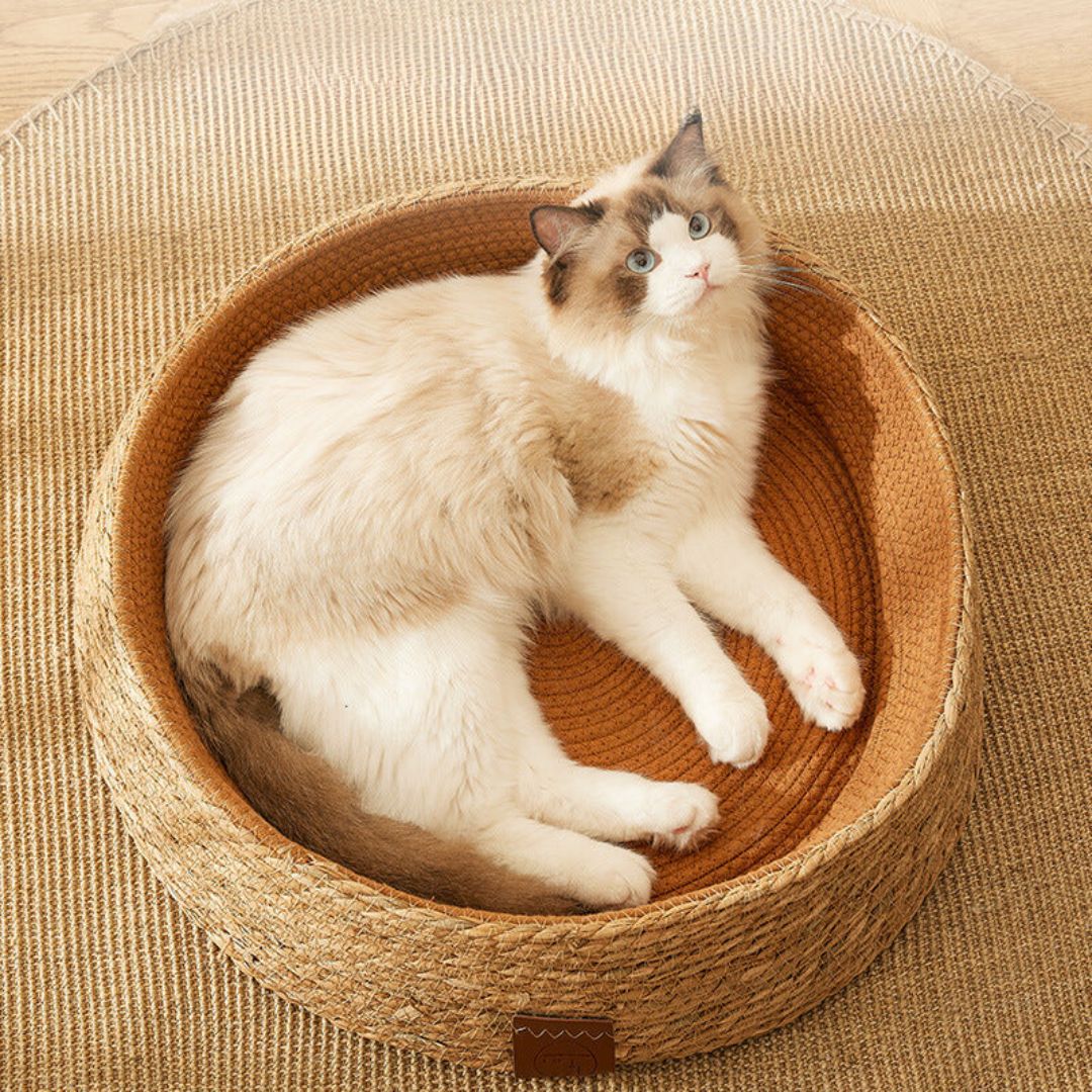Handwoven Rattan Cat Bed with Scratching Surface